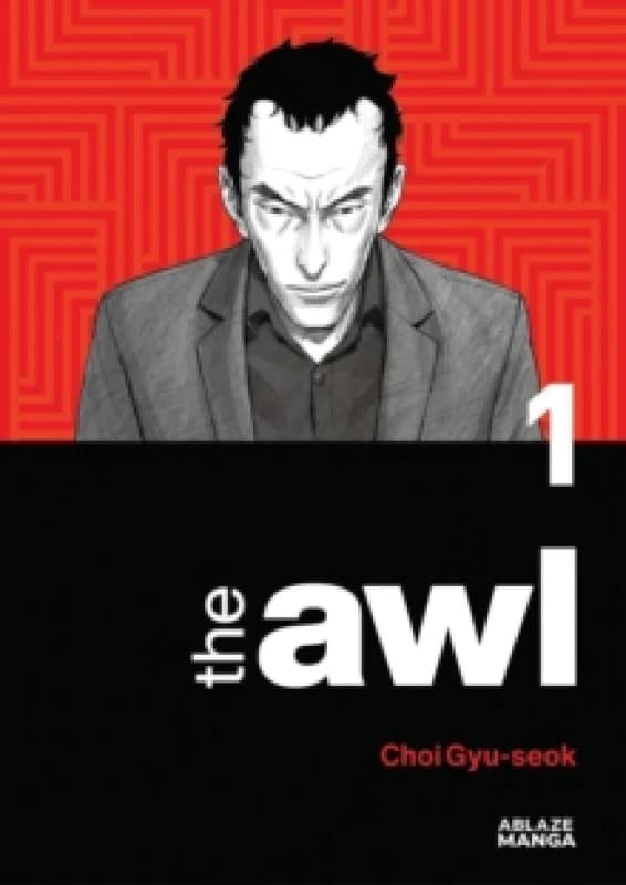 The Awl Vol 1 Paperback / softback