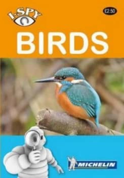 Birds Paperback