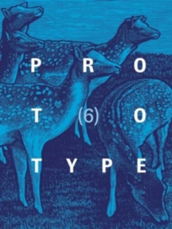 PROTOTYPE 6 Paperback / softback