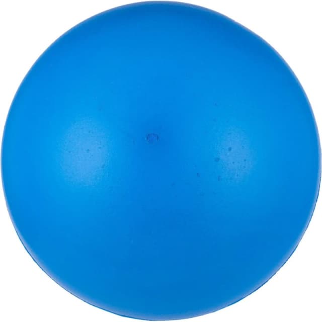 Sports Directory Coated Foam Ball Blue unisex 21cm