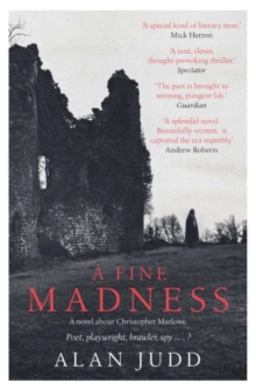 A Fine Madness : Sunday Times 'Historical Fiction Book of the Month' Paperback / softback