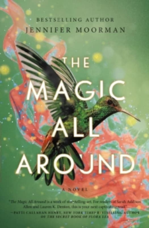 The Magic All Around : A Novel Paperback / softback