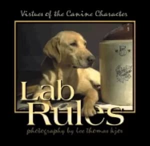 lab rules