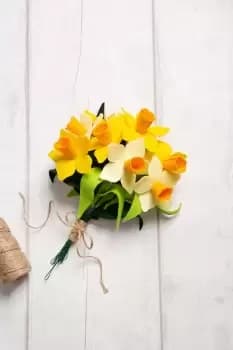 Felt Craft Kit - A Dozen Daffodils