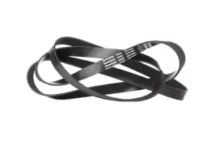 DAYCO V-ribbed belt MERCEDES-BENZ,BMW,OPEL 6PK1995 60626658,60663242,71753674 11287527564,11287549150,11287628650,334744,60626658,60663242,71753674