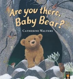 Are You There Baby Bear? by Catherine Walters