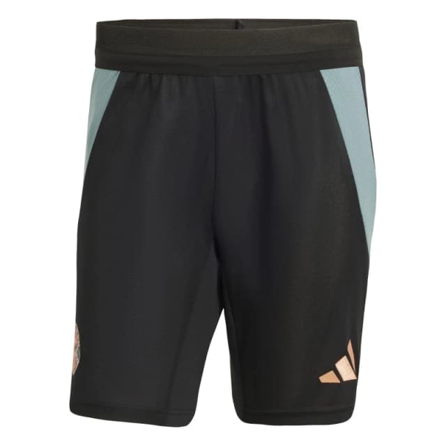 adidas Mens adidas Bayern Munich Training Shorts 25/26 Black male M