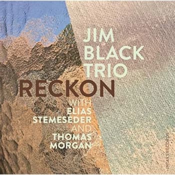 Jim Black Trio - Reckon CD