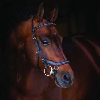 Rambo Micklem Competition Bridle - Black