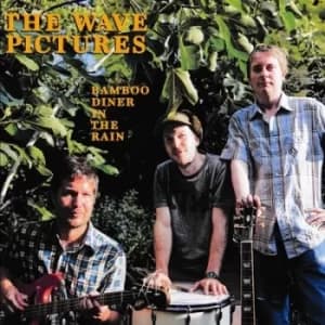 Bamboo Diner in the Rain by The Wave Pictures CD Album