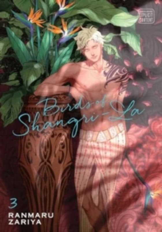 Birds of Shangri-La, Vol. 3 Paperback / softback