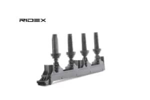 RIDEX Ignition coil 689C0111 Coil pack,Ignition coil pack PEUGEOT,CITROEN,307 CC (3B),307 SW (3H),307 (3A/C),407 SW (6E_),308 SW I (4E_, 4H_),807 (E)