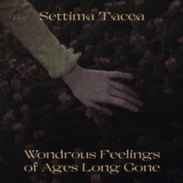 Wondrous Feelings of Ages Long Gone Vinyl