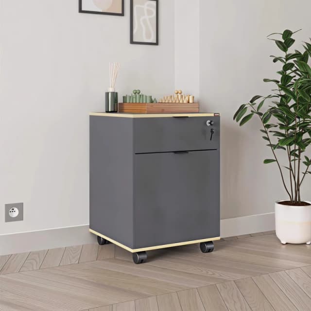 FWStyle FWStyle 1 Door 1 Drawer Lockable Mobile Office Storage Cabinet - Anthracite Grey Grey One Size Unisex 5056413130914