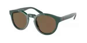 Polo Ralph Lauren Sunglasses PH4184 542173