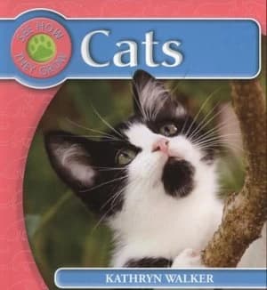 Cats by Kathryn Walker Paperback