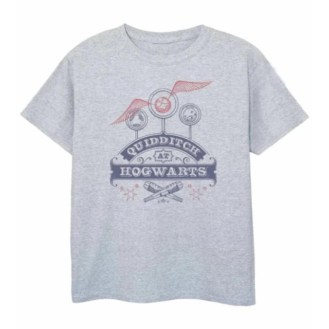 Harry Potter Quidditch T-Shirt Grey male