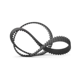 RIDEX Timing Belt 306T0054 Cam Belt,Toothed Belt HYUNDAI,KIA,i30 (FD),GETZ (TB),TUCSON (JM),SANTA FE II (CM),i30 CW (FD),SANTA FE I (SM),MATRIX (FC)