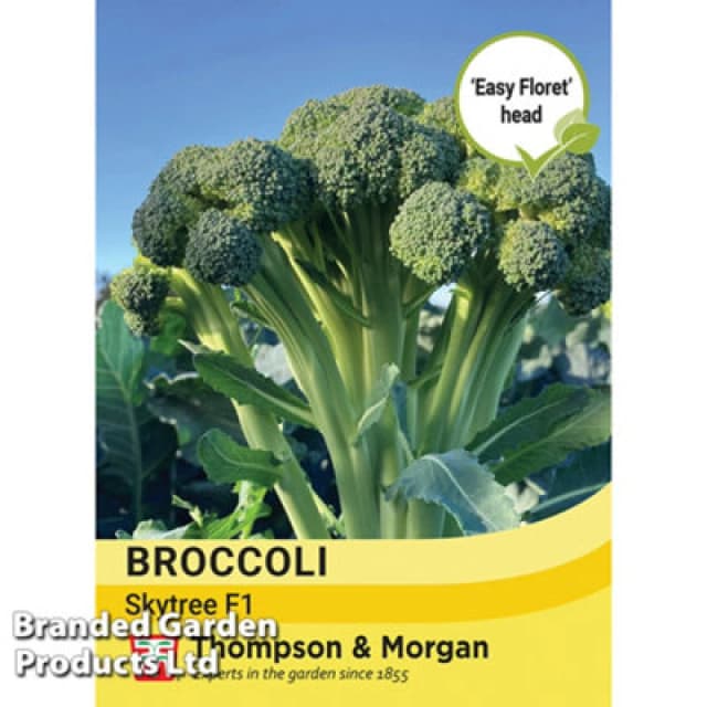 Thompson & Morgan Broccoli (Easy Floret) Skytree F1 1 Seed Packet (15 Seeds)