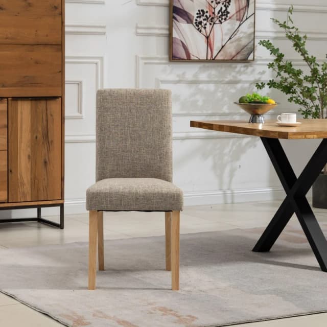 Artemis Home Maiolo Fabric Dining Chairs - Set of 2 in Brown Brown Unisex