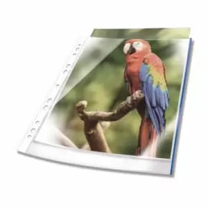 Durable 265506 filing pocket A4 Blue, Transparent 25 pc(s)