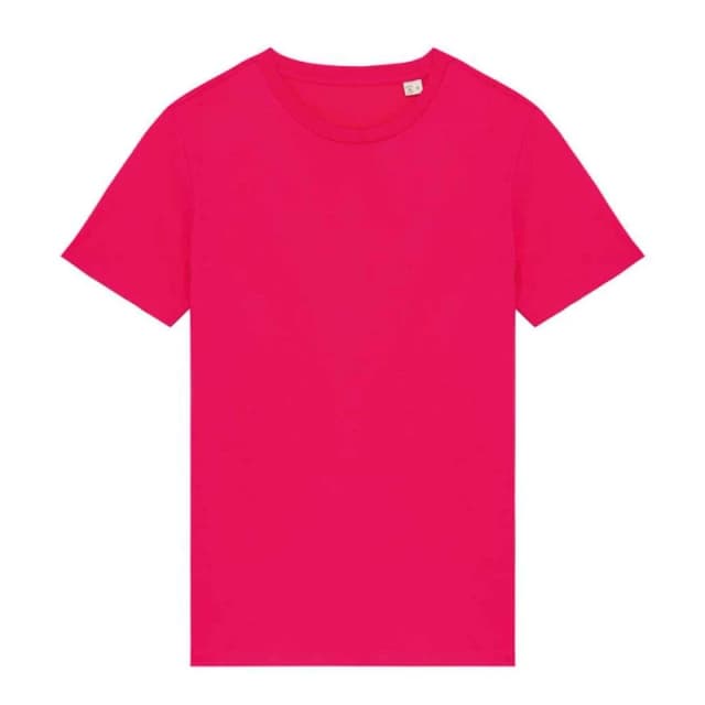 Native Spirit Mens T-Shirt in Raspberry Size: XS Raspberry Male XS