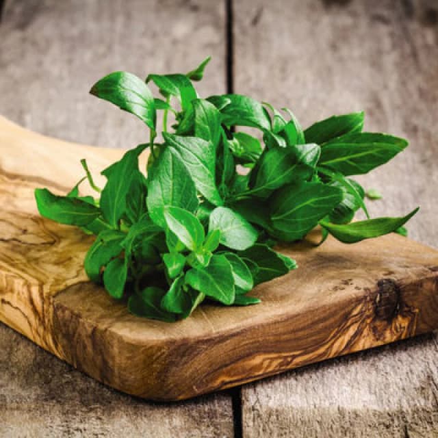 Thompson & Morgan Organic Herb Basil Classico 1 Seed Packet (250 Seeds)