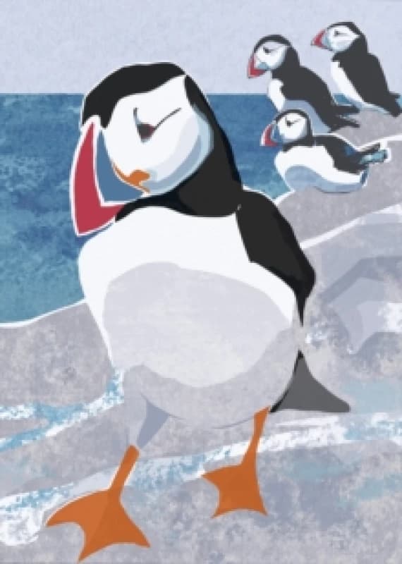 Nature Notebook: Puffin Notebook / blank book