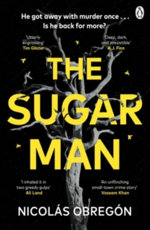The Sugar Man Paperback / softback
