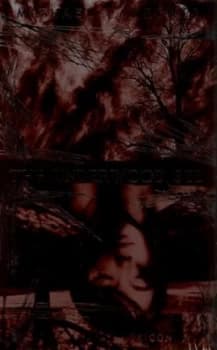 The Underwood See by Michael Lawrence Hardback