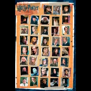 Harry Potter 7 Characters Maxi Poster