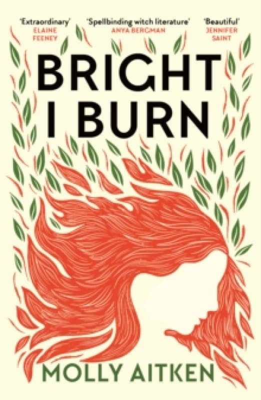 Bright I Burn Paperback / softback