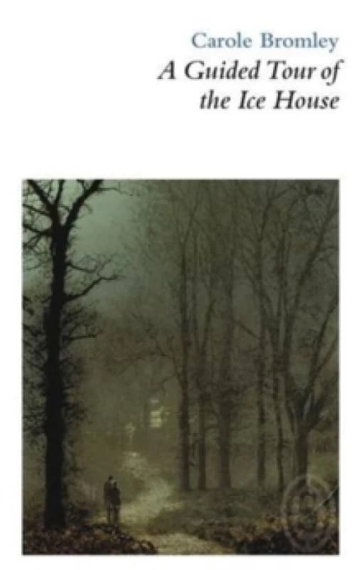 A Guided Tour of the Ice House Paperback / softback