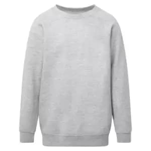 SG Kids/Childrens Crew Neck Sweatshirt Top (Pack of 2) (11-12) (Light Oxford)