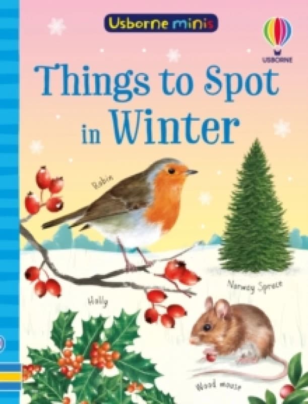 Things to Spot in Winter Paperback / softback