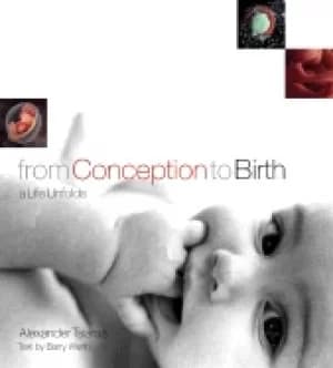 from conception to birth a life unfolds