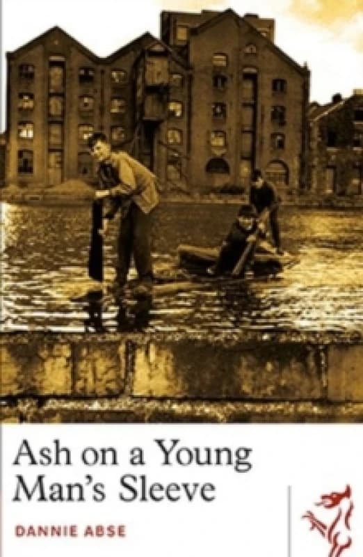Ash on a Young Man's Sleeve Paperback / softback