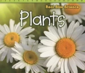 Plants by Rebecca Rissman Book