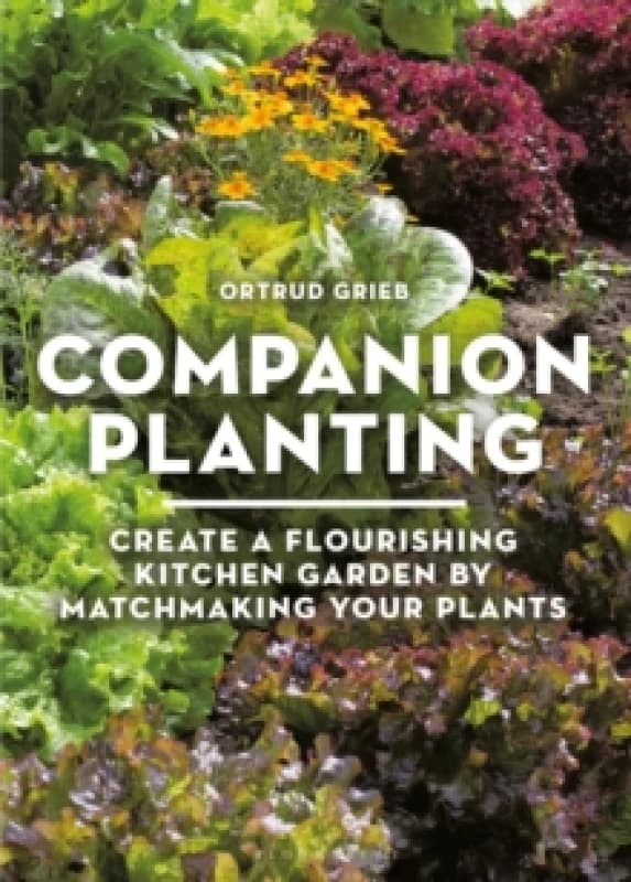 Companion Planting : Create a Flourishing Kitchen Garden By Matchmaking Your Plants Paperback / softback