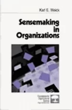 sensemaking in organizations