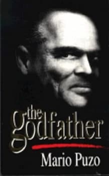 The Godfather by Mario Puzo Paperback