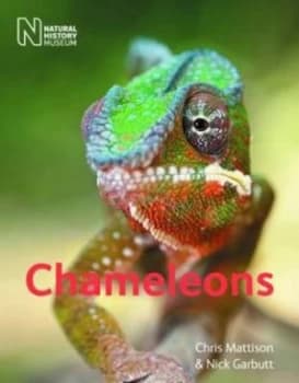 Chameleons by Chris Mattison Paperback