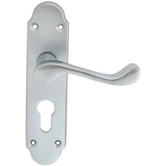 Loops PAIR Victorian Upturned Handle on Euro Lock Backplate 170 x 42 Satin Chrome Multi