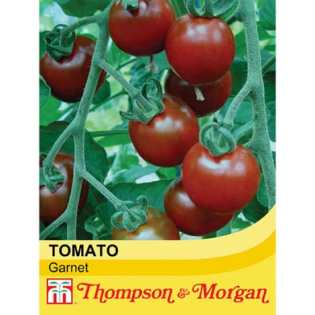 Thompson & Morgan Tomato Garnet 1 Seed Packet (6 Seeds)