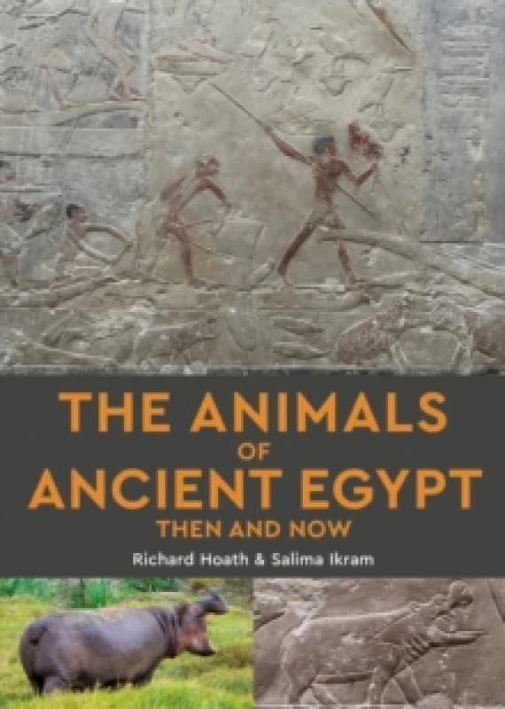 The Animals of Ancient Egypt Then and Now Paperback / softback