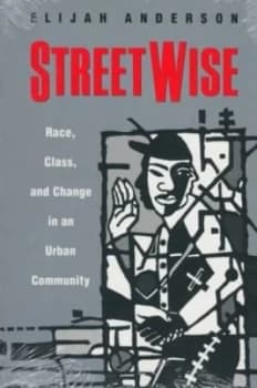 Streetwise by Elijah Anderson Paperback