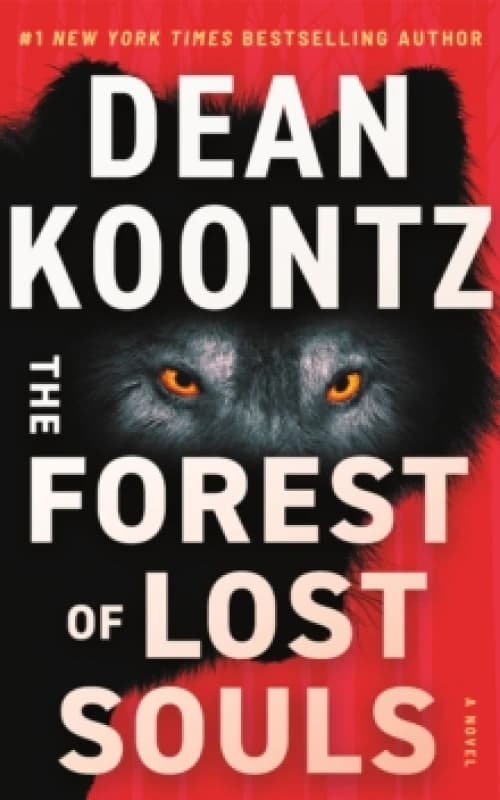The Forest of Lost Souls : A Novel Paperback / softback