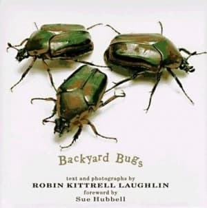 Backyard Bugs by Robin Kittrell Laughlin Book