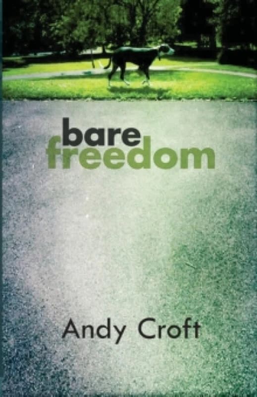Bare Freedom : How do you stay straight when the system is stacked against you? Paperback / softback