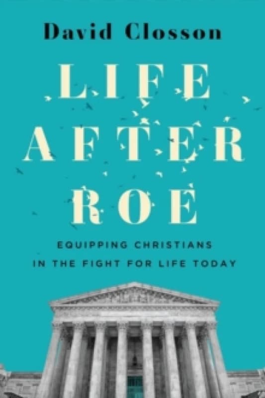 Life After Roe Paperback / softback